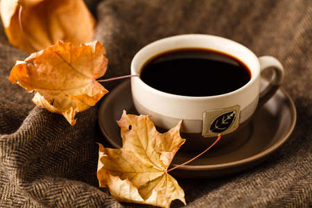Mug with tea bag, book and plaid winter blanket on vintage wooden tableの写真素材