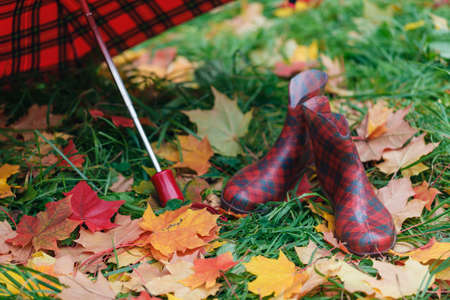 Autumn rain shoe in red color on fall maple leafの写真素材