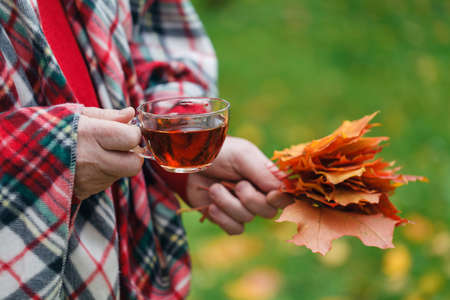 Autumn walk in park with cup of teaの写真素材