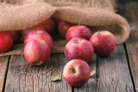 Heap of red apples in bulrap bagの写真素材