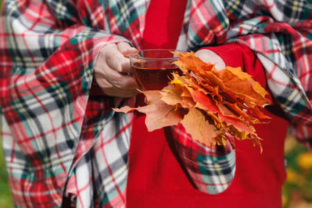 Malpe leaves in hands in fall parkの写真素材