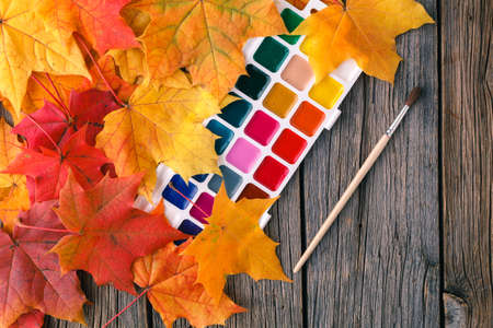 Autumn creative art painting backgrounf with pencils and maple leavesの写真素材