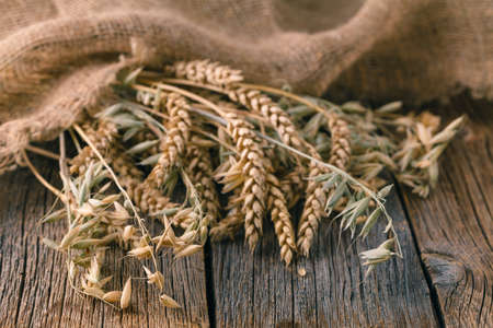ears of rye on rustic wooden tableの写真素材