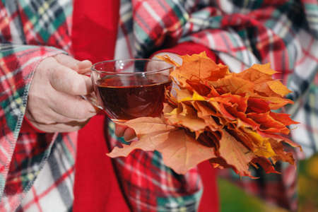 Autumn walk in park with cup of teaの写真素材