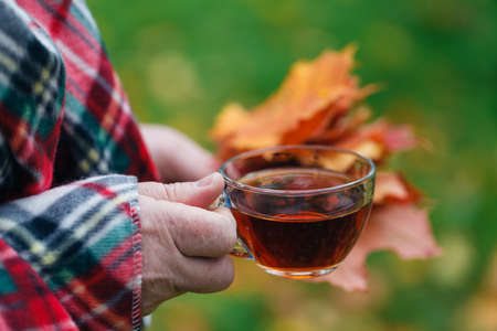 Male in fall forest walking and drink hot teaの写真素材