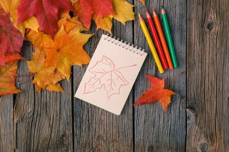Autumn creative art painting backgrounf with pencils and maple leaves