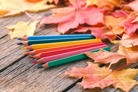 Autumn creative art painting backgrounf with pencils and maple leavesの写真素材