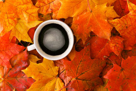 Creative background woth maple leaves