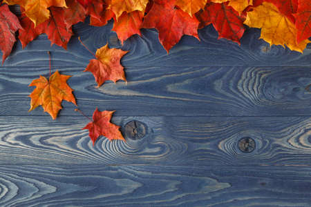Fall background frame with maple leaves on blueの写真素材