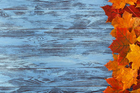 Autumn maple leaf on blue wooden table. Fall background with copy space