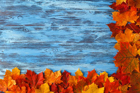 Frame from maple leaves on blue wooden background