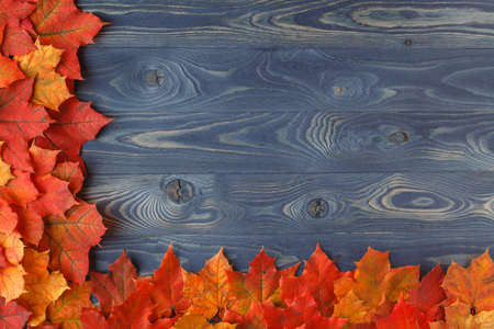 Autumn leaves over wooden background with copy spaceの写真素材