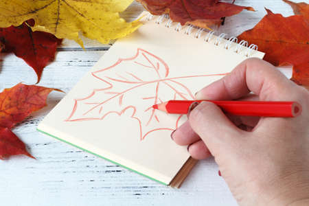 Girl paints patterns autumn leafの写真素材