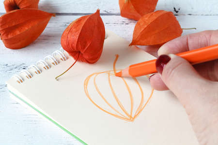 Close up of the hands drawing a fall leaf covered with autumn leaves
