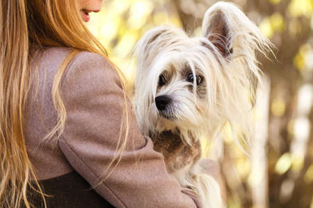 Young adult woman is holding a dog on her shoulder. Woman turned backの写真素材