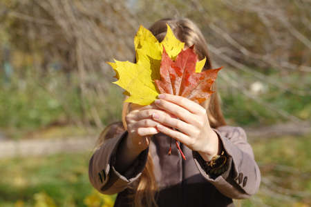 autumn woman on leafsの写真素材