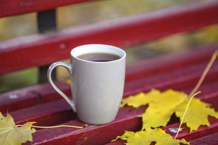 Closeup image of coffee cup in colorful maple leaves on wooden bench at autumn park background.の写真素材