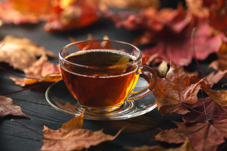 Cup of tea with autumn leaves background on wooden table / fall tea backgroundの写真素材