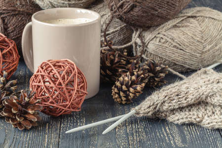 Female home leisure hobby, knitting