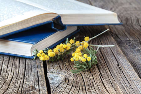 Reading educational book in spring timeの写真素材