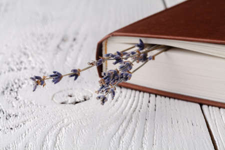 it's memories, a bouquet of dry lavender and books