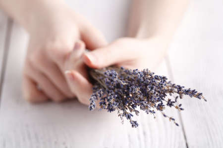 Female give bouquet of lavender in handsの写真素材