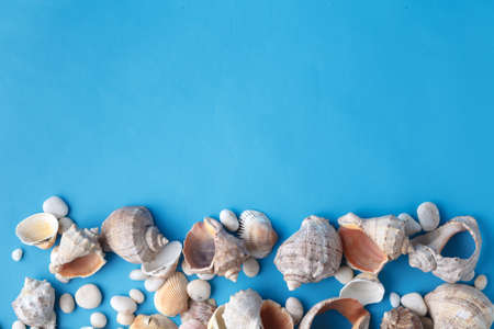 Sea vacation frame with shell on blueの写真素材