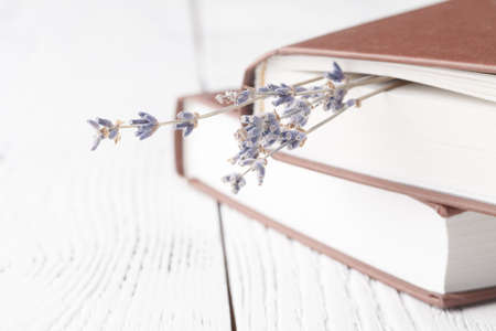 Retro bouquet of dry lavender with booksの写真素材