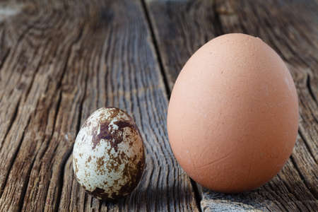 quail eggs and chicken which is betterの写真素材