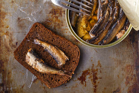 tin sardine on dard background with breadの写真素材