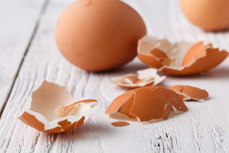 Boiled egg on the chopperの写真素材