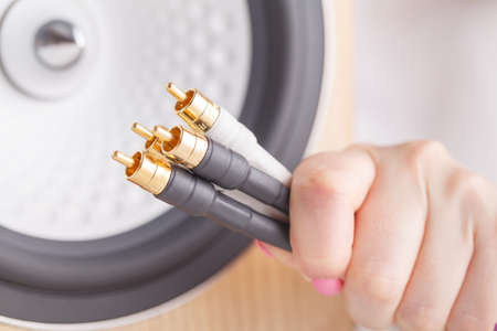 Input RCA connectors on the back of loudspeakerの写真素材