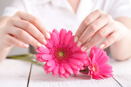 Soft tender protection for woman critical days, gynecological menstruation cycle, pink gerbera in handの写真素材