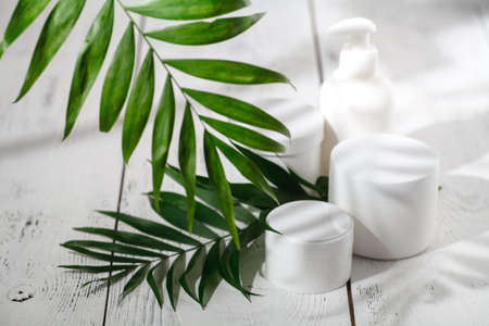 Cosmetic bottle containers with green herbal leaves, Blank label package for branding mock-up, Natural organic beauty product conceptの写真素材
