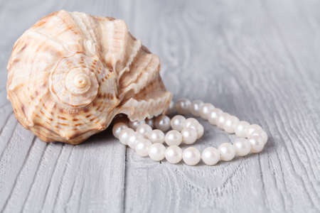 Wedding background with pearls and sea shell. Luxury wedding background