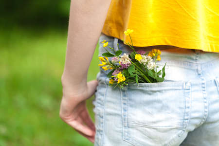 bouquet of daisy in jean pocketの写真素材