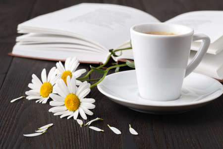 Stack of books with small bunch of daisiesの写真素材