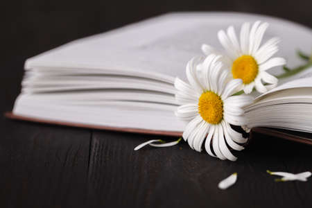 books with bouquet of flowersの写真素材