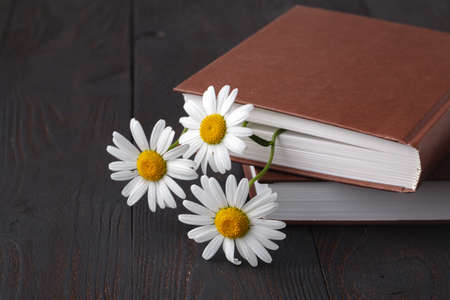 bouquet of white daisies on old bookの写真素材
