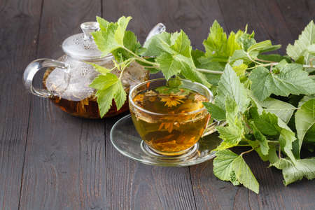 Glass teapot and cup with green tea on old wooden table with fresh herbsの写真素材