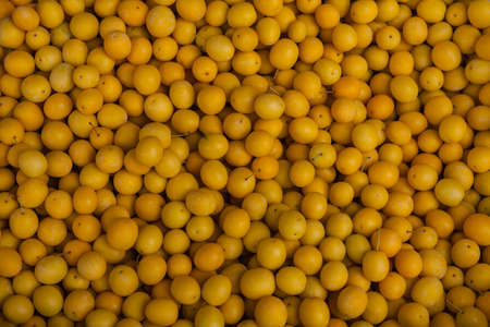 Fresh yellow plum tkemali on local market georgiaの写真素材