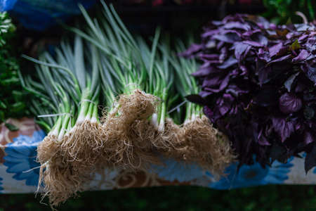 Fresh produce on sale at the local farmers market