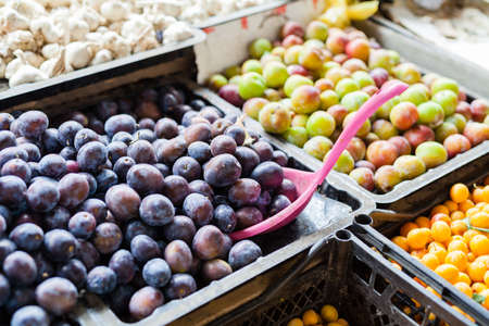 Market stall with variety of organic vegetableの写真素材