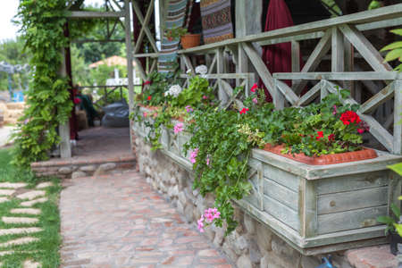 yard in the village in summer timeの写真素材