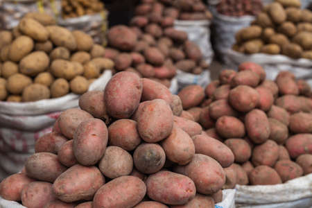 Fresh organic food at the local farmers market, potatoesの写真素材