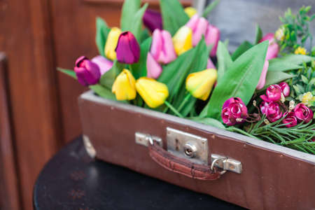 Travel concept, bag full of fresh tulips
