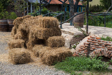 yard in the village in summer timeの写真素材