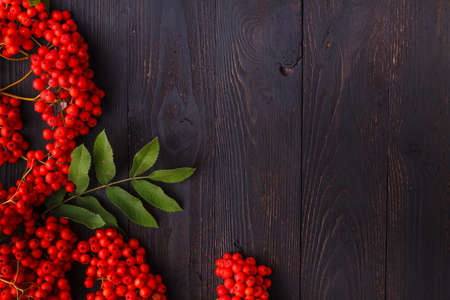 Rowan berries, frame on wooden table, fall conceptの写真素材