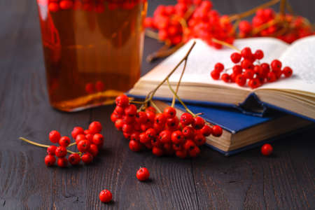 Rowanberry natural tincture for winter, with ashberry fruitsの写真素材