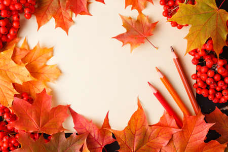 Autumn frame of fall leaves, berries and apples with greeting card. Great season texture with fall...